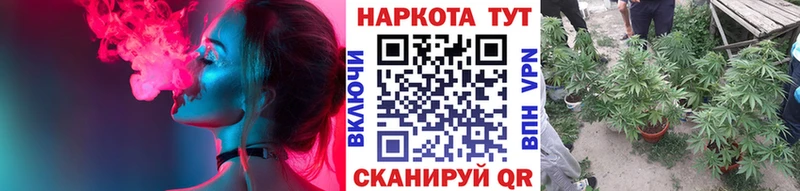 Магазины продажи наркотиков Чехов ГАШ  Марихуана  СОЛЬ  Мефедрон 