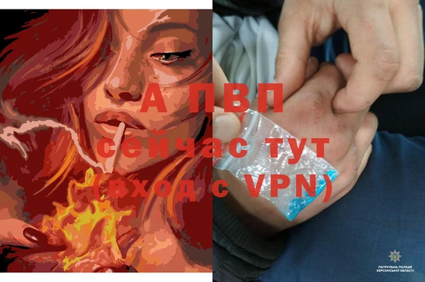 jwh Аркадак