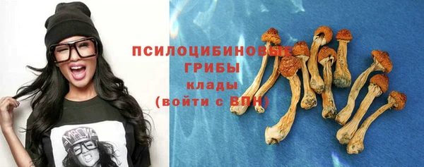 мяу мяу мука Арсеньев