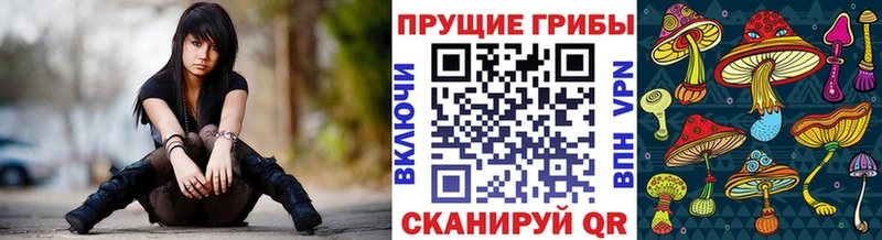Галлюциногенные грибы ЛСД  гидра ТОР  Чехов 